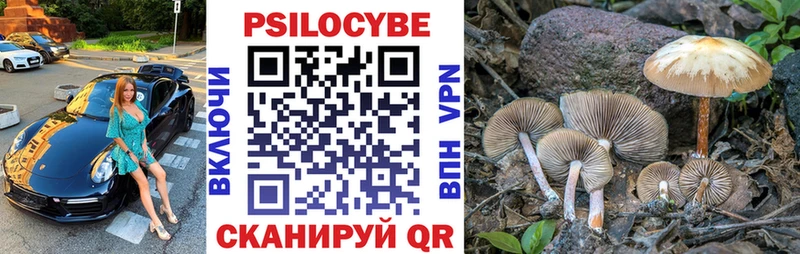 Галлюциногенные грибы MAGIC MUSHROOMS Павловская
