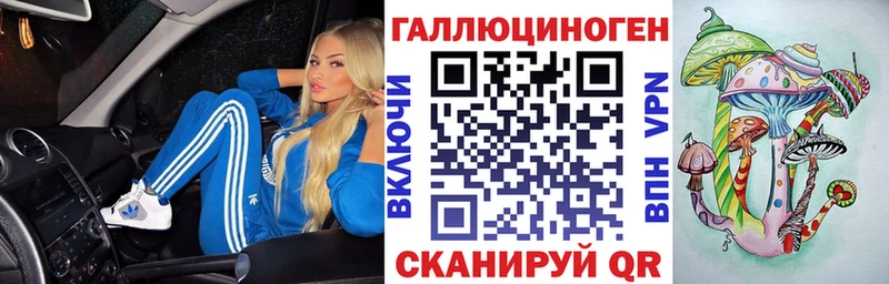 купить наркотик  Павловская  Галлюциногенные грибы Psilocybe 